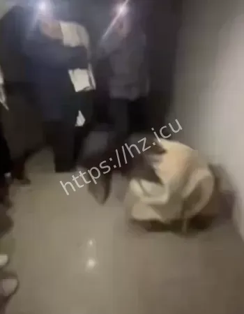 被迫跪地蜷缩