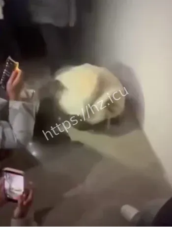 13岁女生遭殴