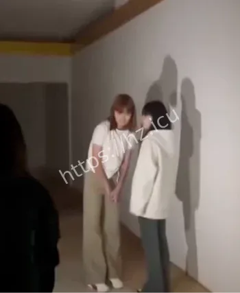 校园暴力视频