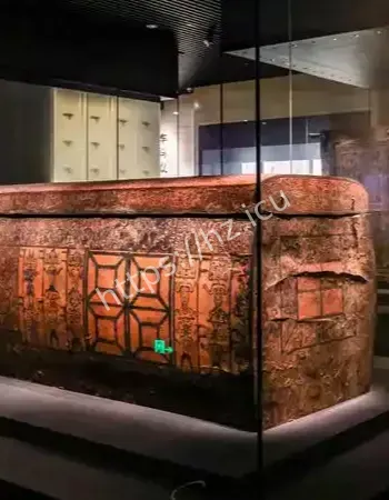 血管清晰可见