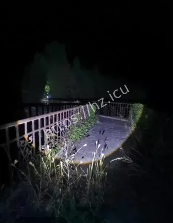 真相大揭秘