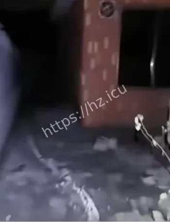 桃园鬼屋事件