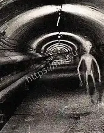 外星生物