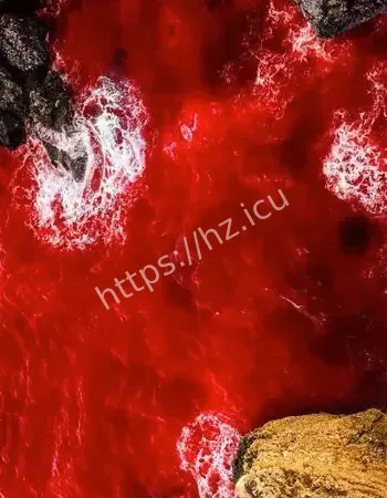 济南浆水泉