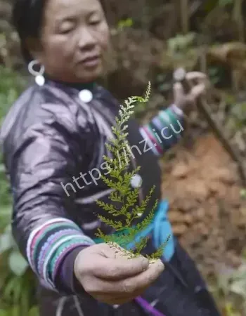 贵州占里侗寨