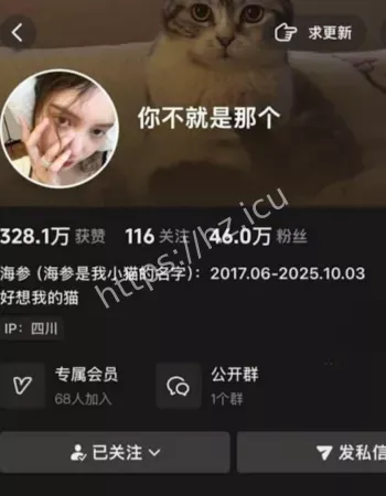 你不就是那个