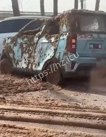 导致拉粪车
