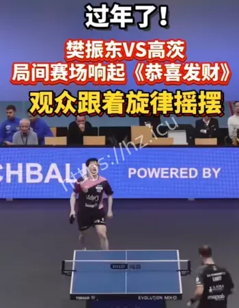 樊振东比赛