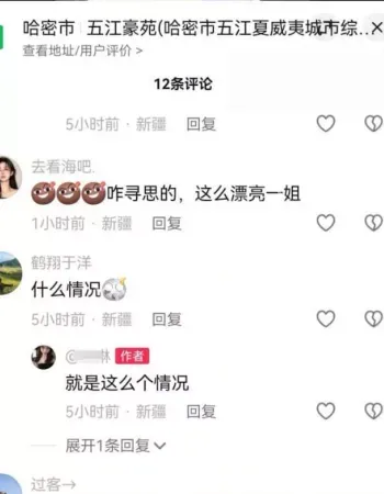 爆火全网