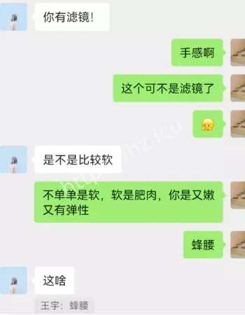 不雅聊天