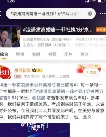 二婚离婚官宣
