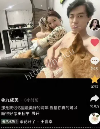 震惊网友
