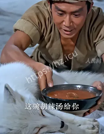 雪山救狐狸