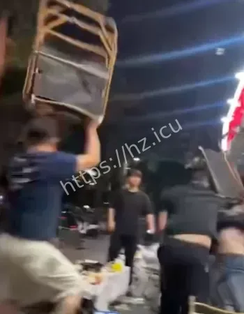 稳如老狗
