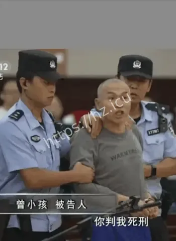 入室抢婴案