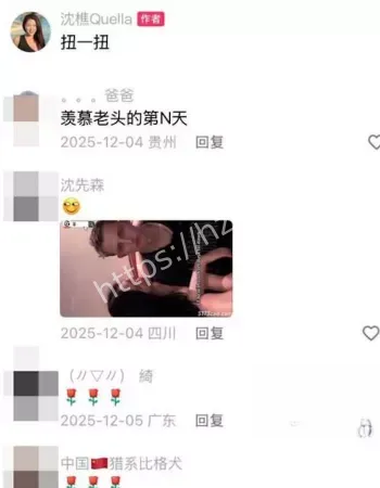 沈樵