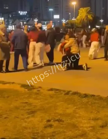 疯狗咬人事件