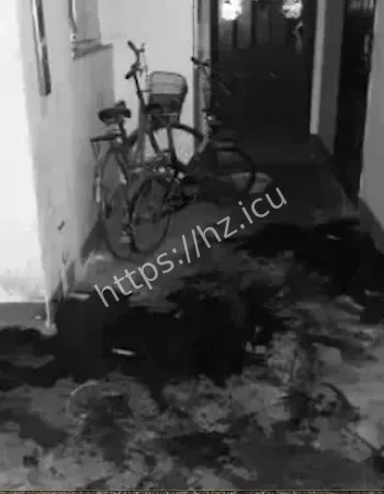 开门却无人