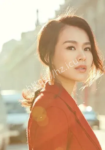 胡杏儿舆论走向