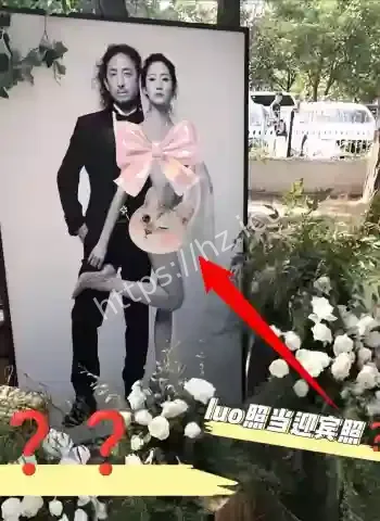 中戏实力派