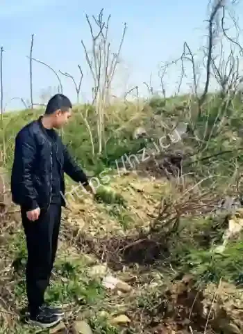 亲妈假冒聊天