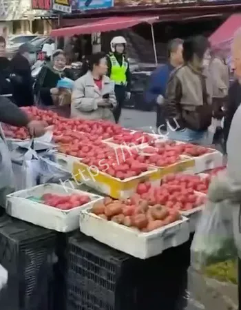 现场视频流出