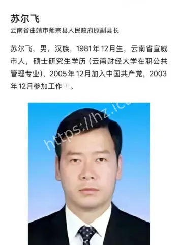苏尔飞