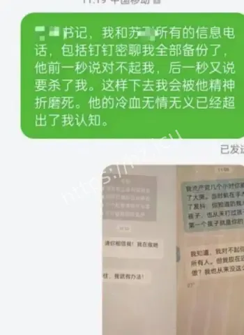 苏尔飞