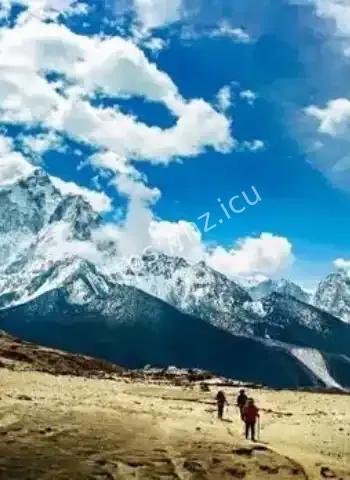 保险诈骗案