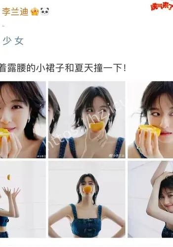 传播反馈观察