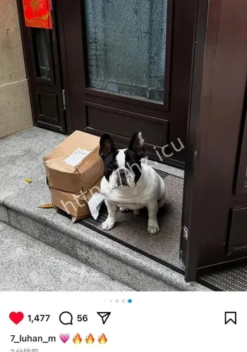 后续延展参考