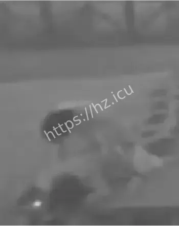 网红打卡圣地