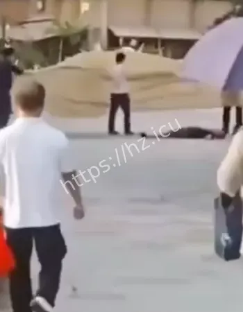 疑似仇杀