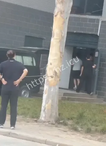 女生因琐事持刀互砍