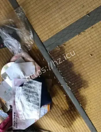 日本浴室女尸事件