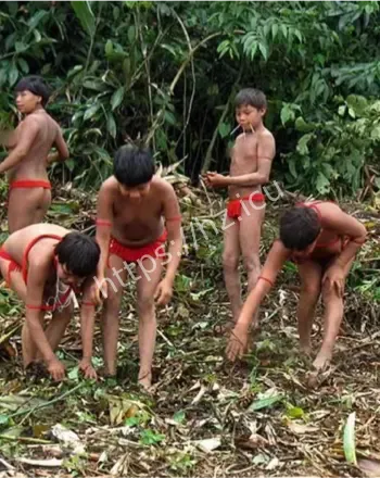 克曼加人手势交流