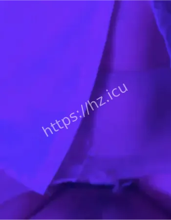 河北乖巧女骚母狗