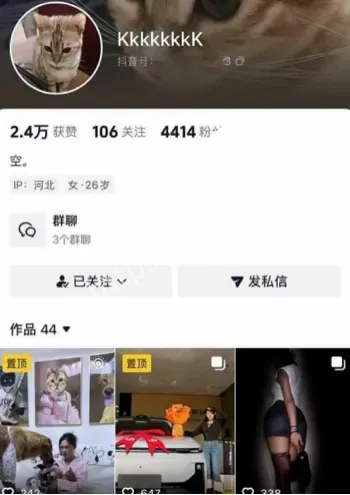 反差小网美
